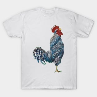 Rocky the Barred Rock T-Shirt